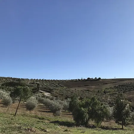 Bed & Breakfast Cortijo Vista 4*