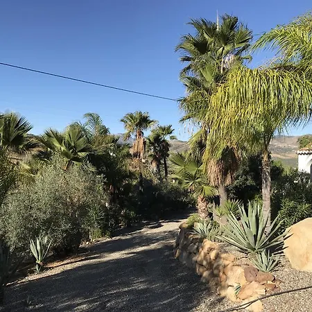 Bed & Breakfast Cortijo Vista 4*