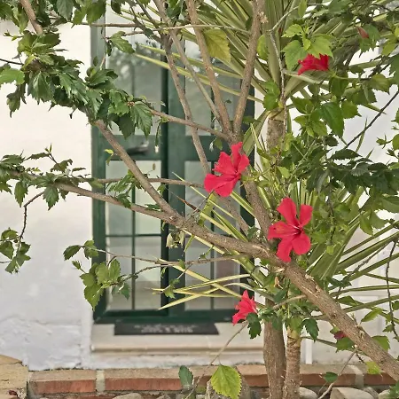 Cortijo Vista 4*